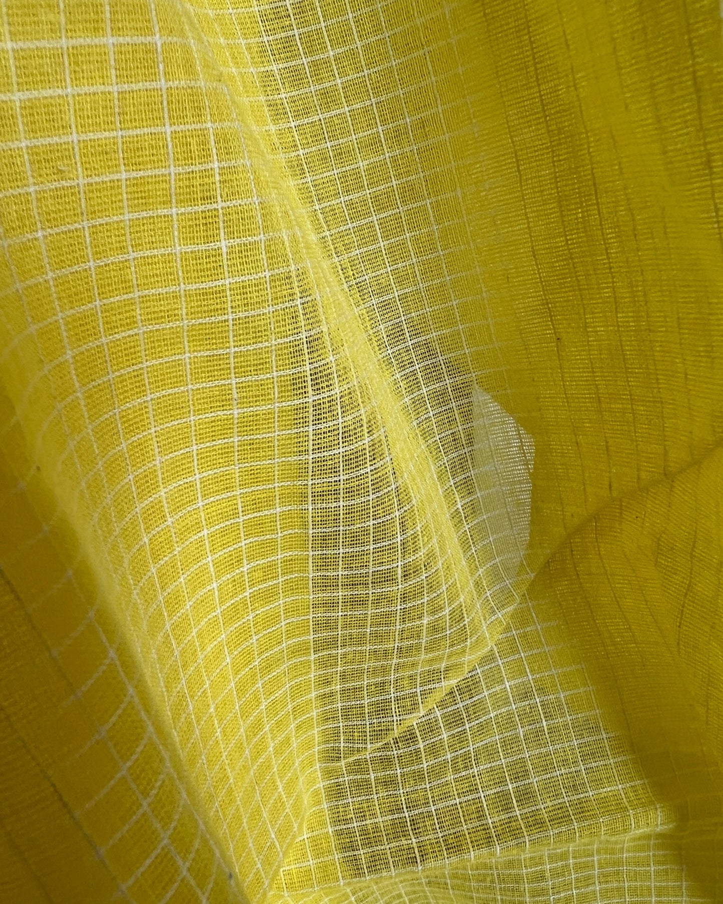 Droupadi ( Handloom for office )